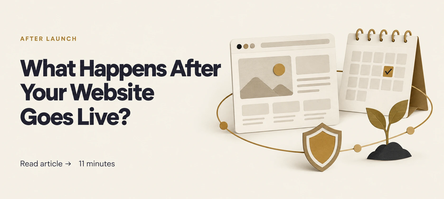 What Happens After Your Website Goes Live?